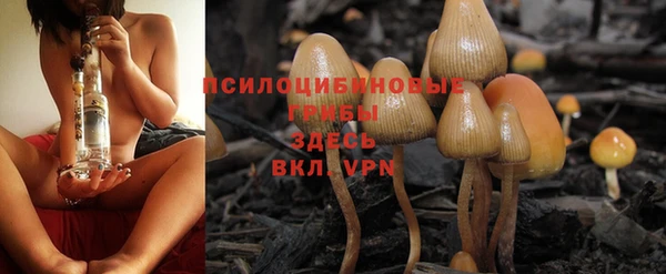 ALPHA PVP Кущёвская