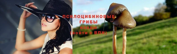 ГАЛЛЮЦИНОГЕННЫЕ ГРИБЫ Нефтегорск
