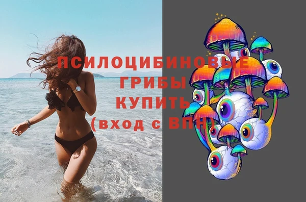 ГАЛЛЮЦИНОГЕННЫЕ ГРИБЫ Нефтегорск