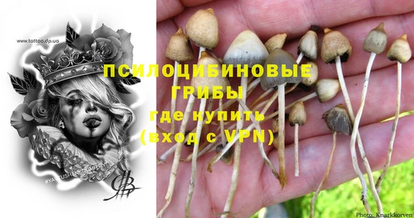 альфа пвп Нея