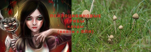 альфа пвп Нея