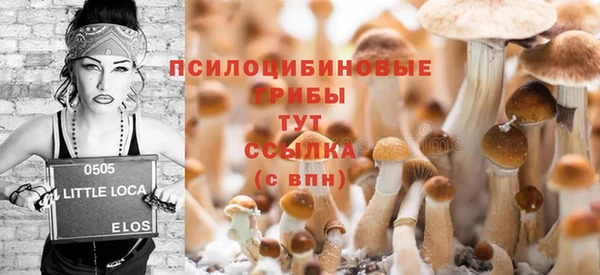 apvp Нефтекумск