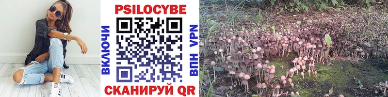 kraken онион  Сусуман  Галлюциногенные грибы Magic Shrooms 